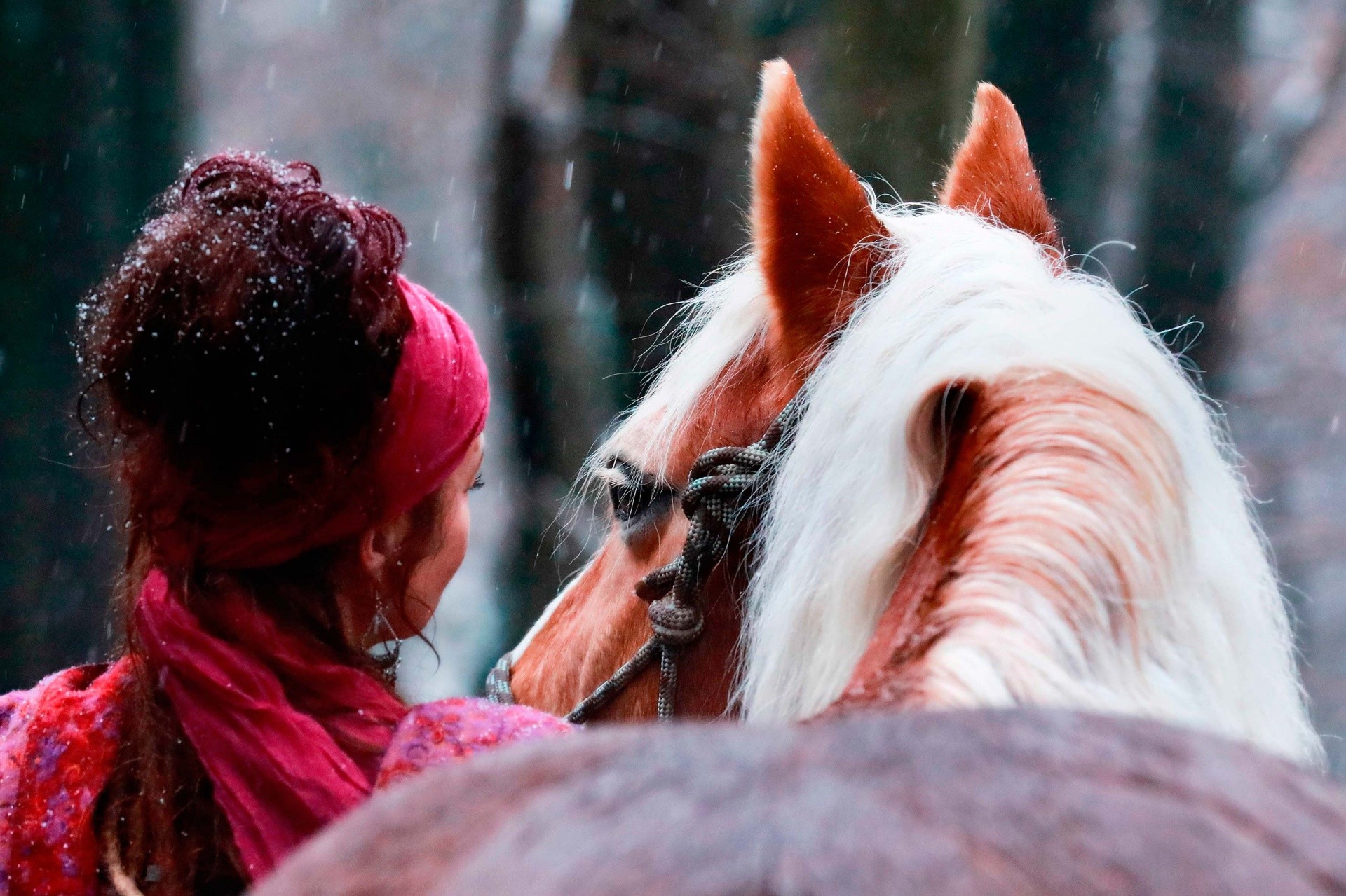 Fotoshooting mit Pferd Pferdefotografie Bergisches Land Köln Tierfotografie