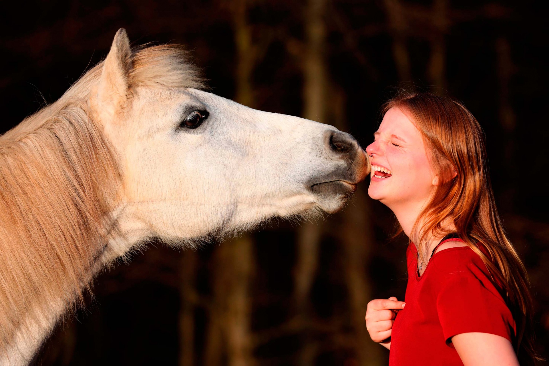 Kuss vom Pony Pferdefotografie Tierfoto Bergisches Land Köln Tierfotografie