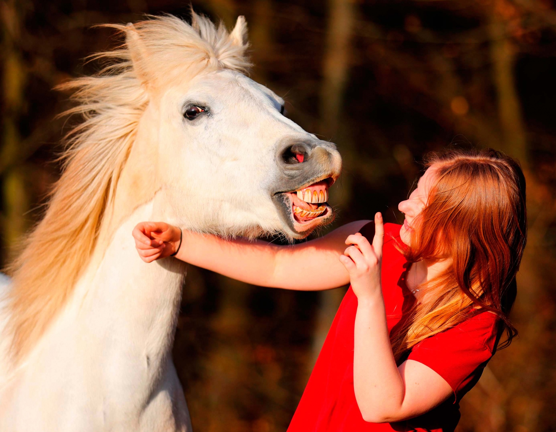 Spass mit Pony Pferdefotografie Tierfoto Bergisches Land Köln Tierfotografie